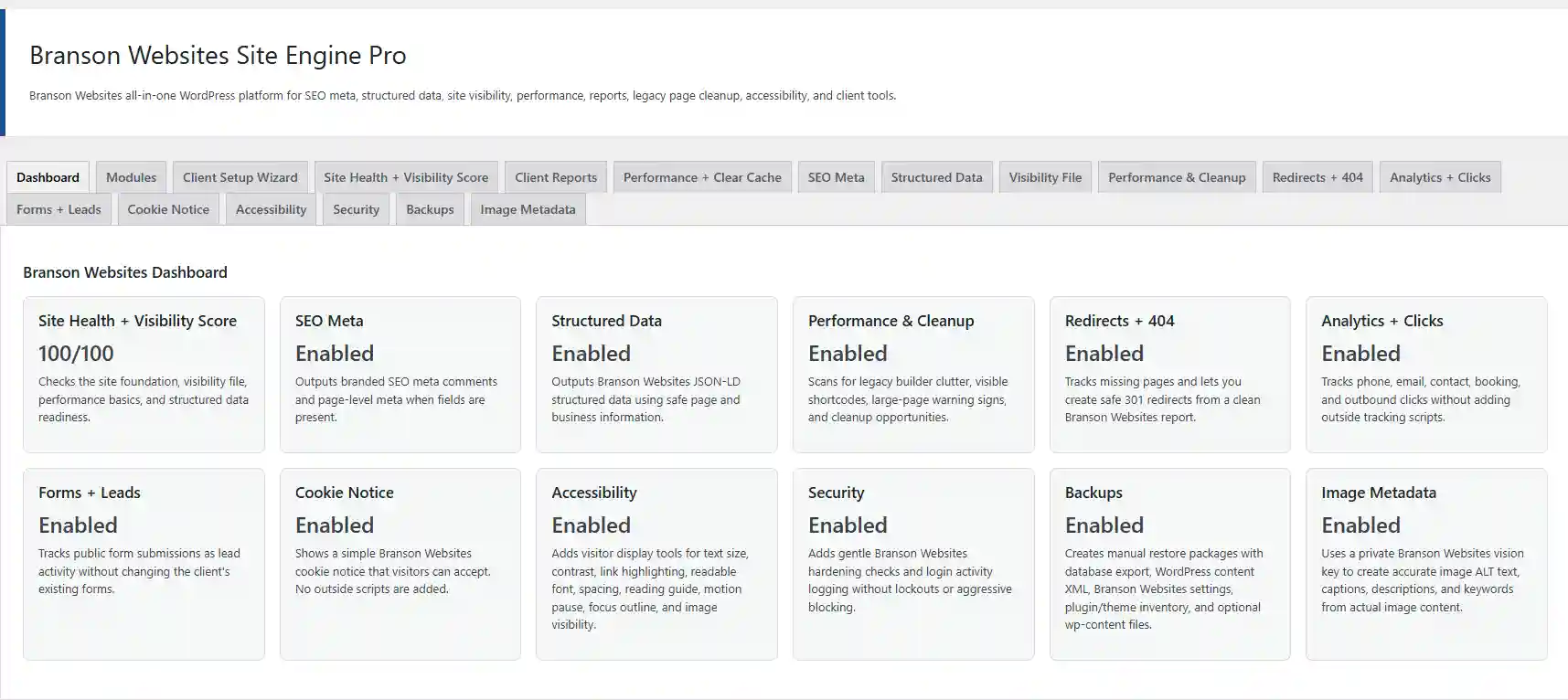 Dashboard interface of Branson Websites SEO & AI Control Panel Pro showing at Branson Website Design | Branson Hosting